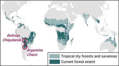 We focus on the world’s tropical dry forests and savannas
