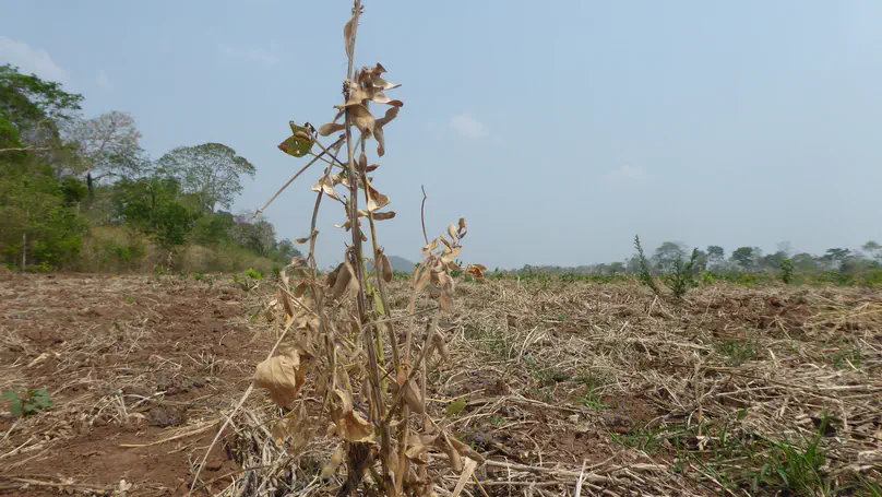 Integrating Land System Science and Conservation Science