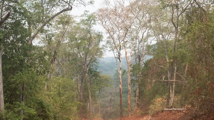 Tropical dry woodland loss occurs disproportionately in areas of highest conservation value