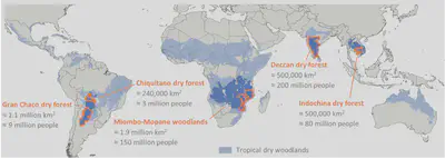 Map displaying Global extent of tropical dry woodland and the five focus regions: 1) Gran Chaco dry forest, ca. 1.1 mio sqkm &amp; 9 mio people. 2) Chiquitano dry forest, ca. 240,000 sqkm &amp; 3 mio people. 3) Miombo-Mopane woodlands, ca. 1.9 mio sqkm &amp; 150 mio people. 4) Deccan dry forest, ca. 500,000 sqkm &amp; 200 mio people. 5) Indochina dry forest, ca. 500,000 sqkm &amp; 50 mio people.