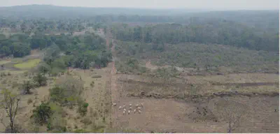 Aerial view of different land uses