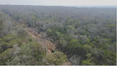 Vista aérea de la tala de bosque seco en la Chiquitanía boliviana